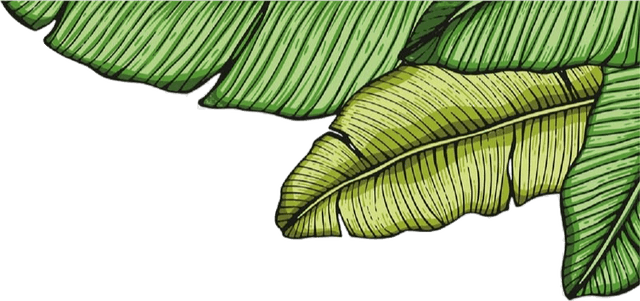 main flowers icon